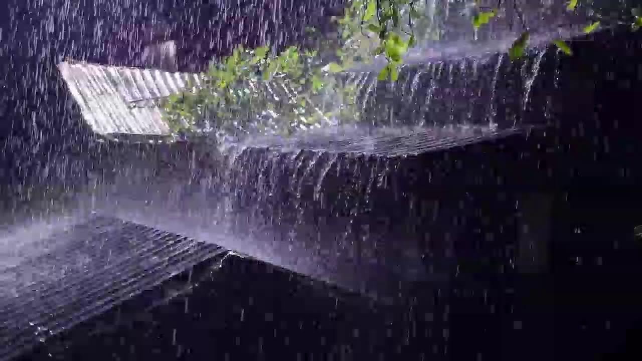 Rain on Tin Roof ASMR | Cozy Rain Sounds for Deep Sleep