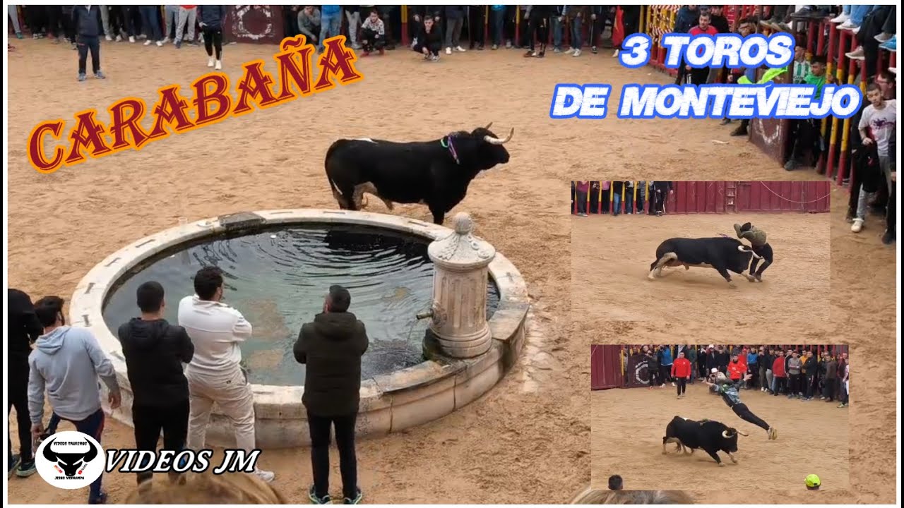 Carabaña 2025..3 Toros de Monteviejo.!!!