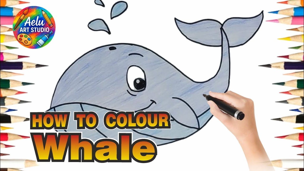 How To Colour a Whale 🐳 | Easy Step by Step Colouring for Kids & Beginners