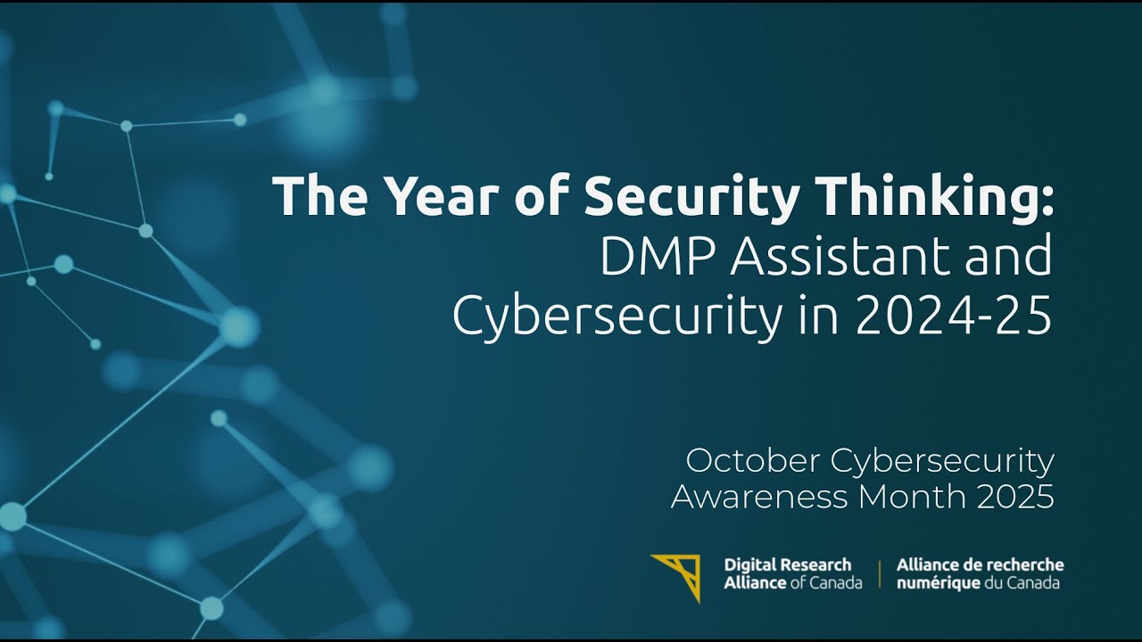 The Year of Security Thinking: DMP Assistant and Cybersecurity in 2024-25