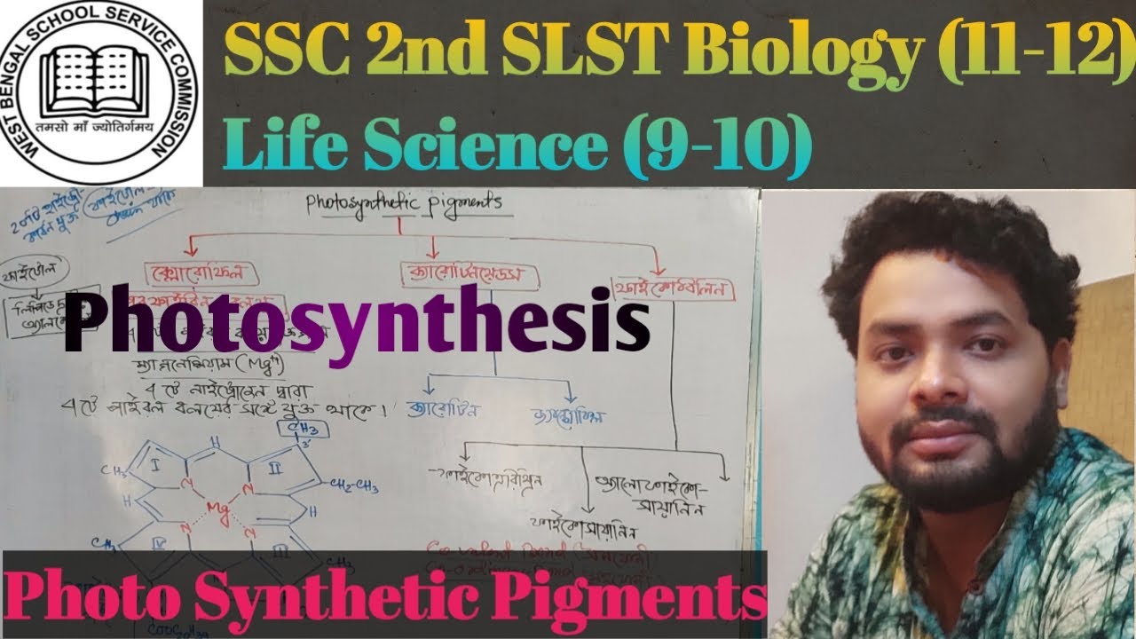 SLST Preparation । Photosyntheis। Photosynthetic Pigments#slst #slstnews #slst_preparation