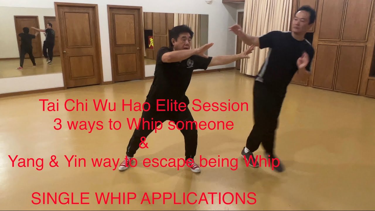 Tai Chi Wu Hao Single Whip : 3 ways to Whip & 2 ways to escape from being Whip