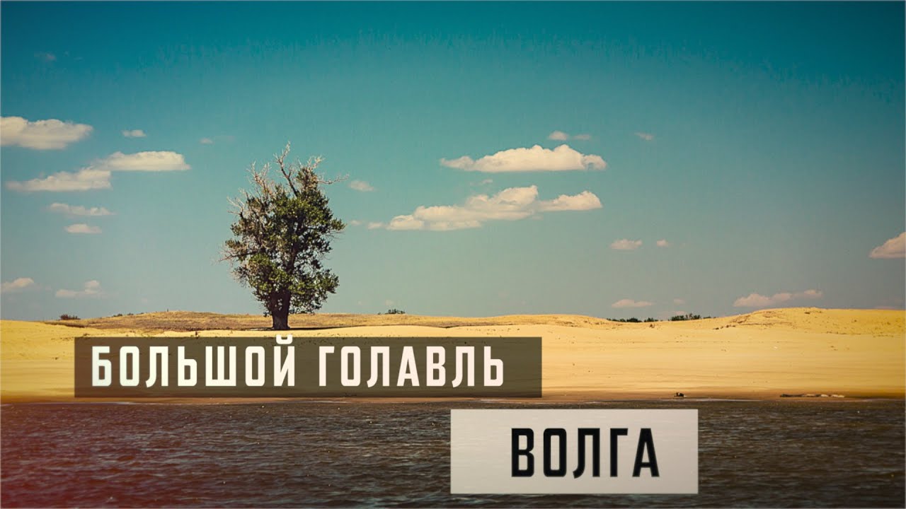 Большой Голавль. Волга.