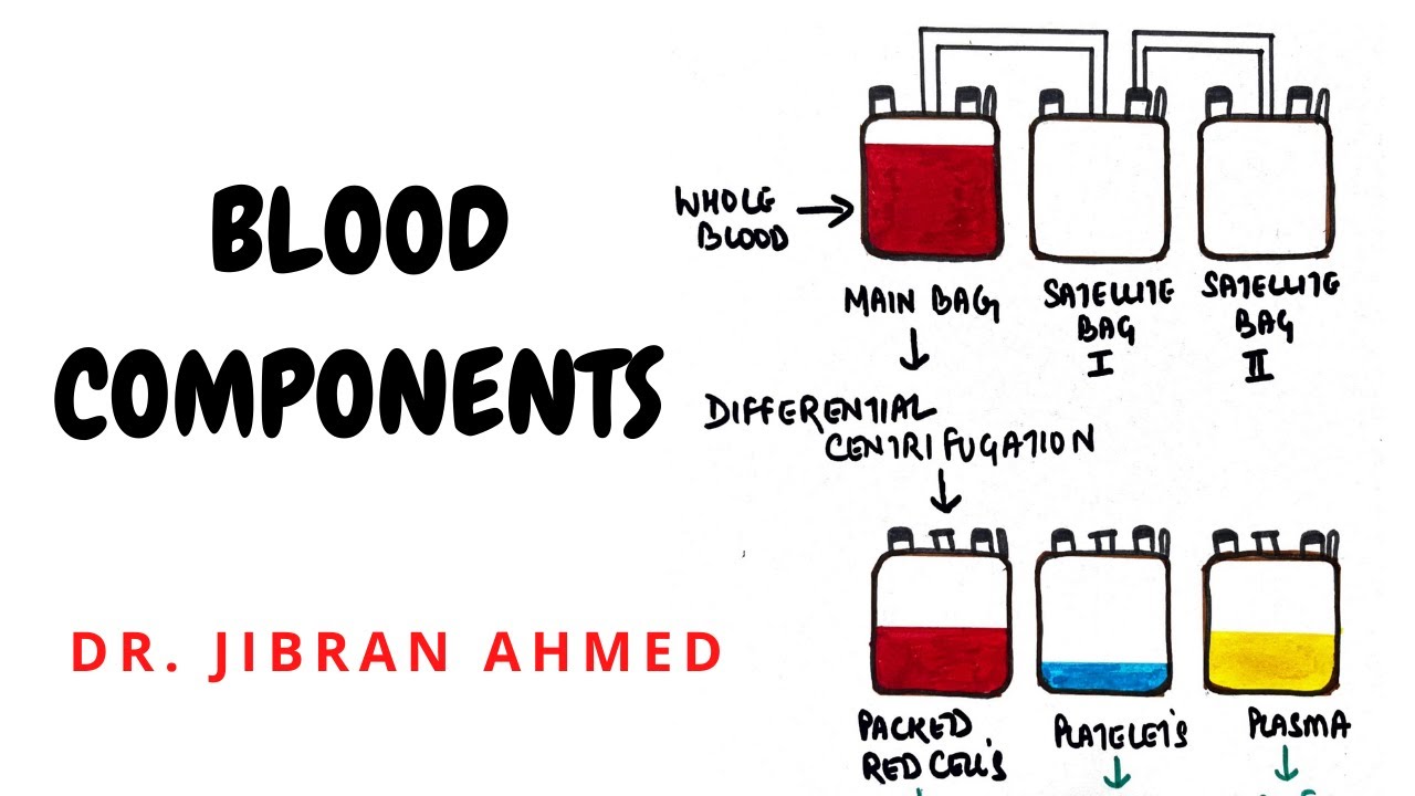 BLOOD COMPONENT II HEMATOLOGY II BLOOD BANKING II PATHOLOGY LECTURES II @DrJIBRANAHMED