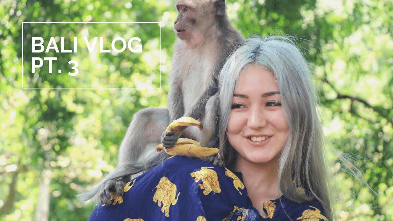 🐒 bali, indonesia vlog (pt.3) | monkey forest & beautiful temples