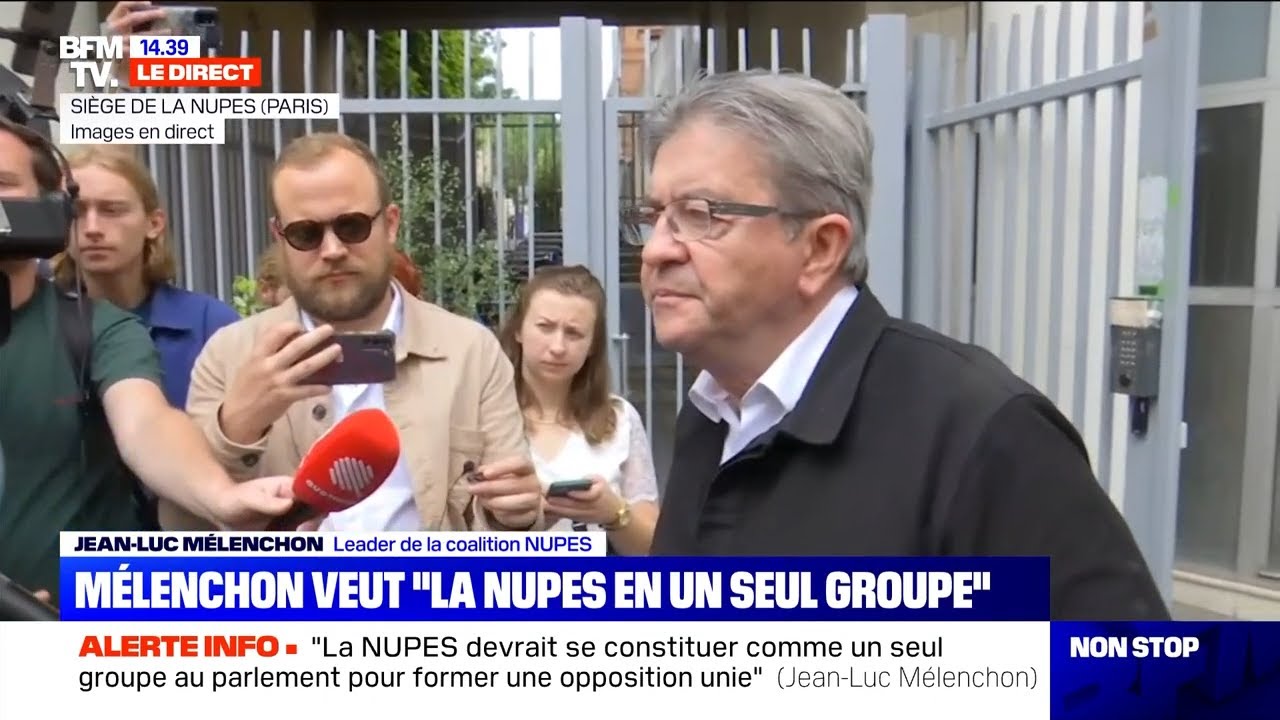 Je propose de former un groupe NUPES à l'Assemblée, avec une délégation distincte par parti