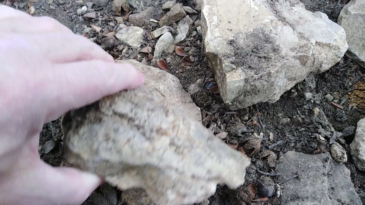 Kamienie1(filmik z zapytaniem do kolegi Paleostone).