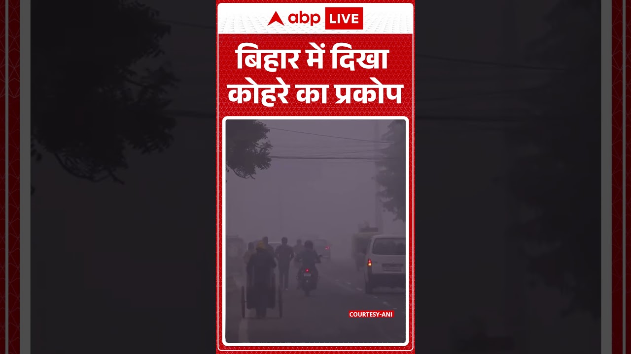 Bihar News: बढ़ती हुई ठंड के चलते Bihar में दिखा कोहरे का प्रकोप | ABPLIVE