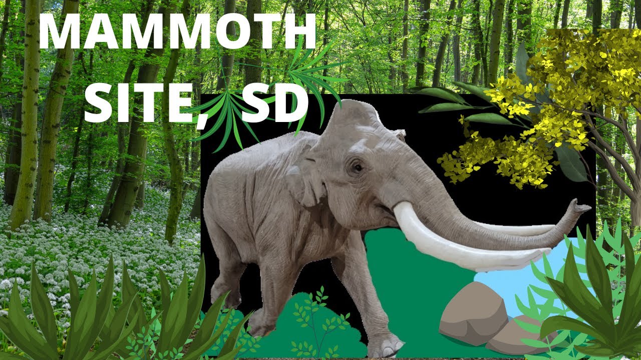 MAMMOTH  SITE a hidden gem in South Dakota