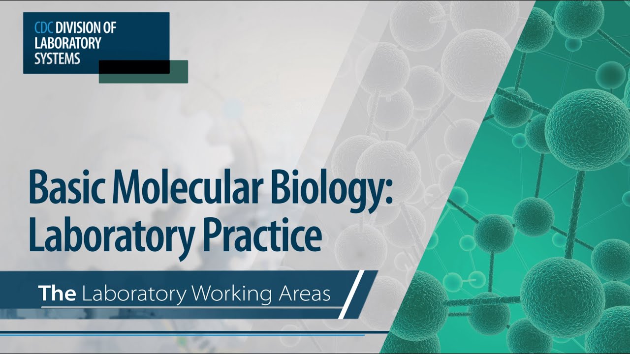 Basic Molecular Biology: Laboratory Practice &ndash; The Laboratory Working Areas