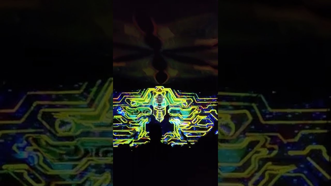 Dsompa live @Holi Blast 2022, Origens Goa