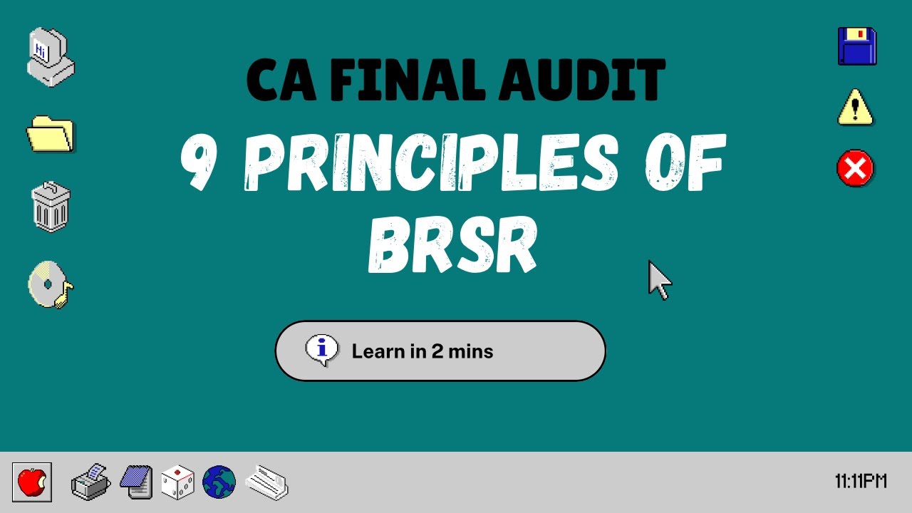 9 PRINCIPLES OF BRSR | CA FINAL AUDIT | Jan 26 onwards