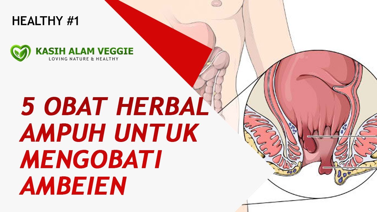 5 OBAT HERBAL AMPUH AMBEIEN | KESEHATAN