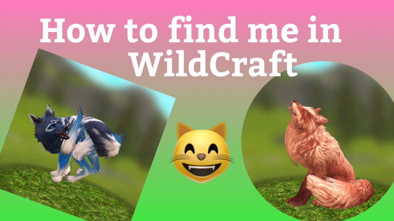 HOW TO FIND ME IN WILDCRAFT(update version)