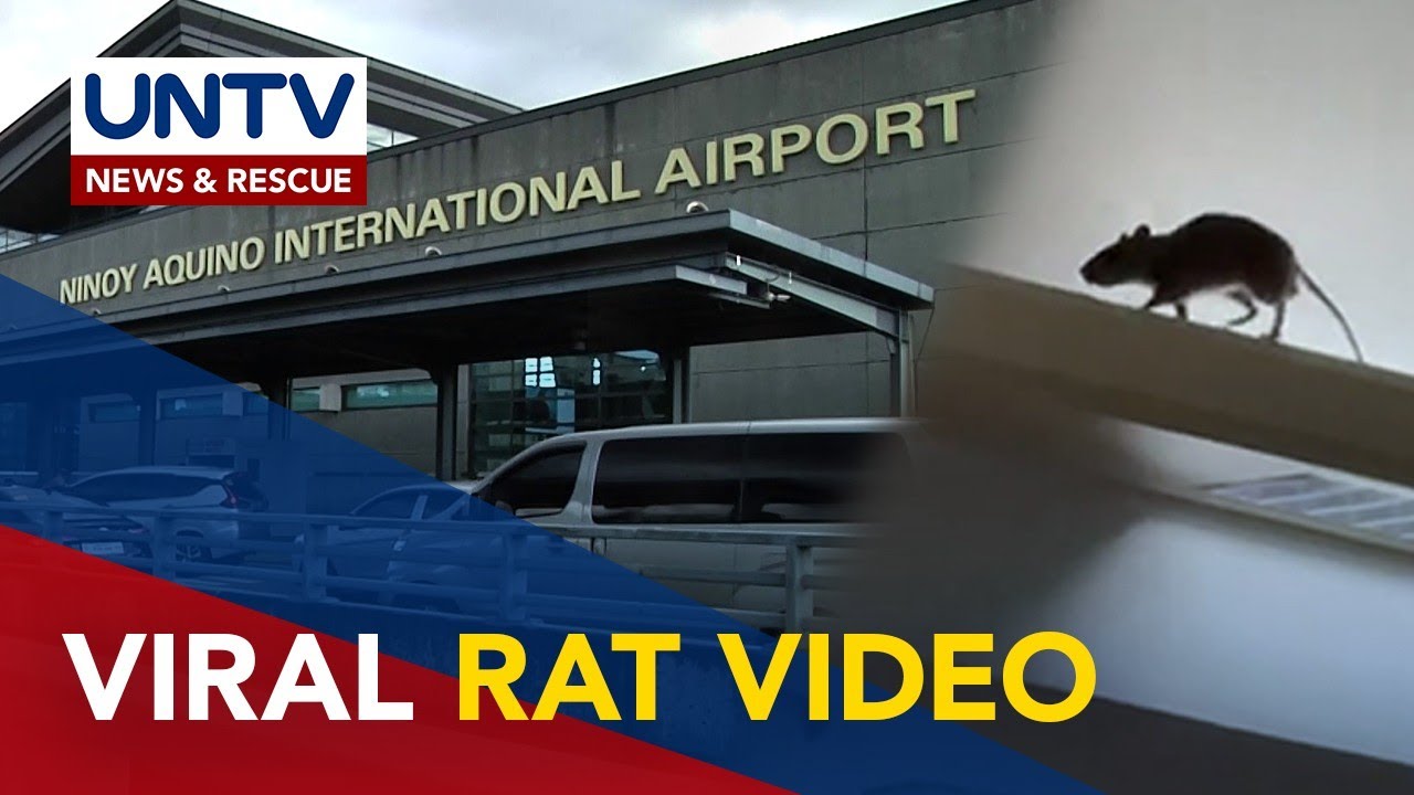 After bed bugs, video of rat in NAIA Terminal 3 goes viral