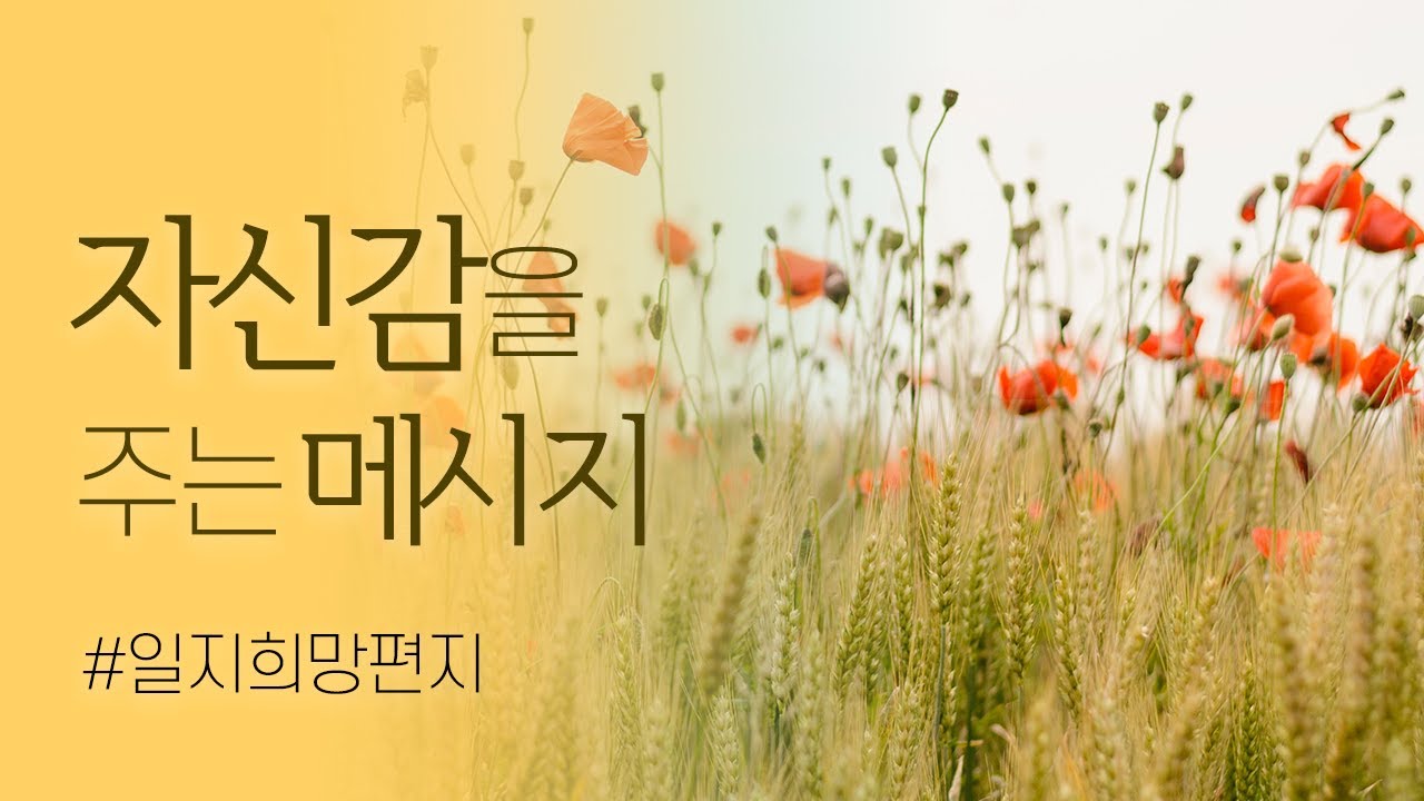 🍀 일지희망편지 📧 자신감을 주는 명상 메시지 [BEST모음 3]