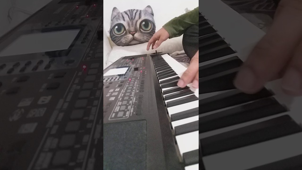 Tanda Merah korg microarranger dangdut nya gurih banget