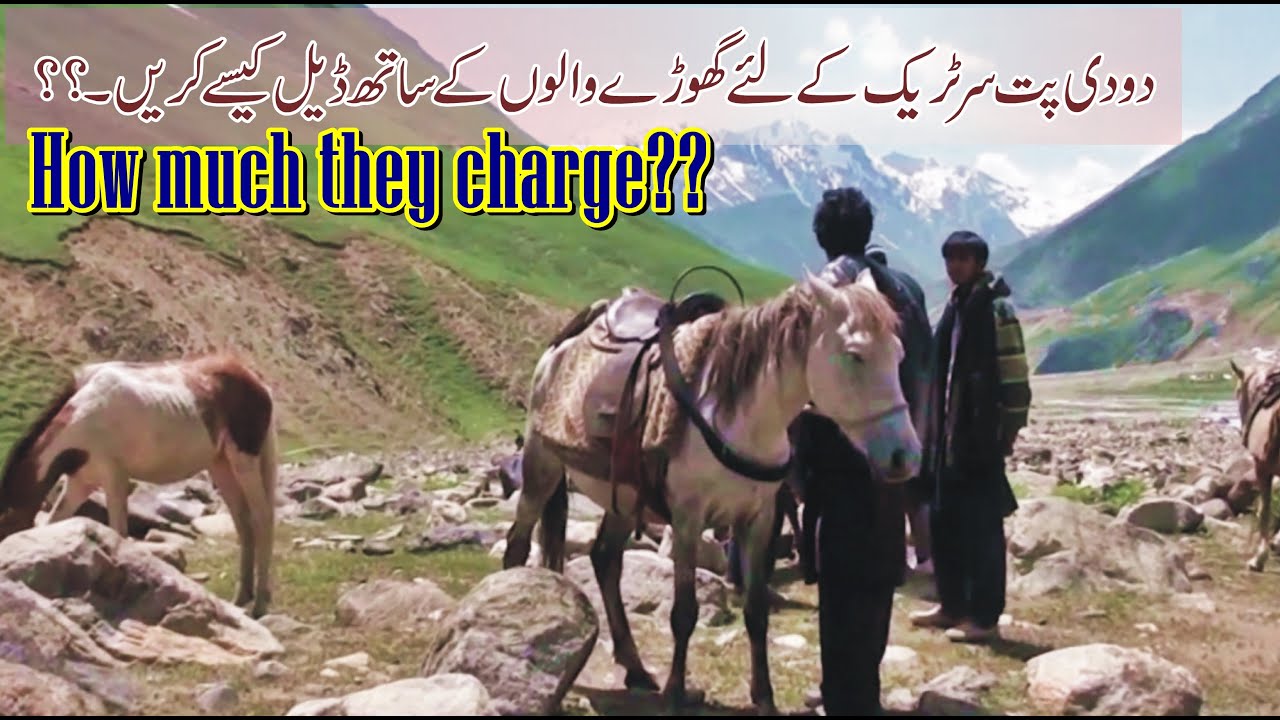 How to deal with Horsemen for Dudipatsar Trek I How much they charge per day I Complete Guide