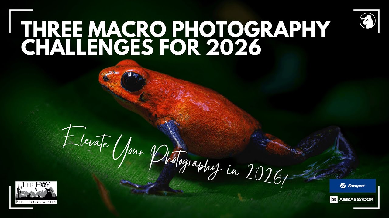 Три (3) конкурса макрофотографии на 2026 год