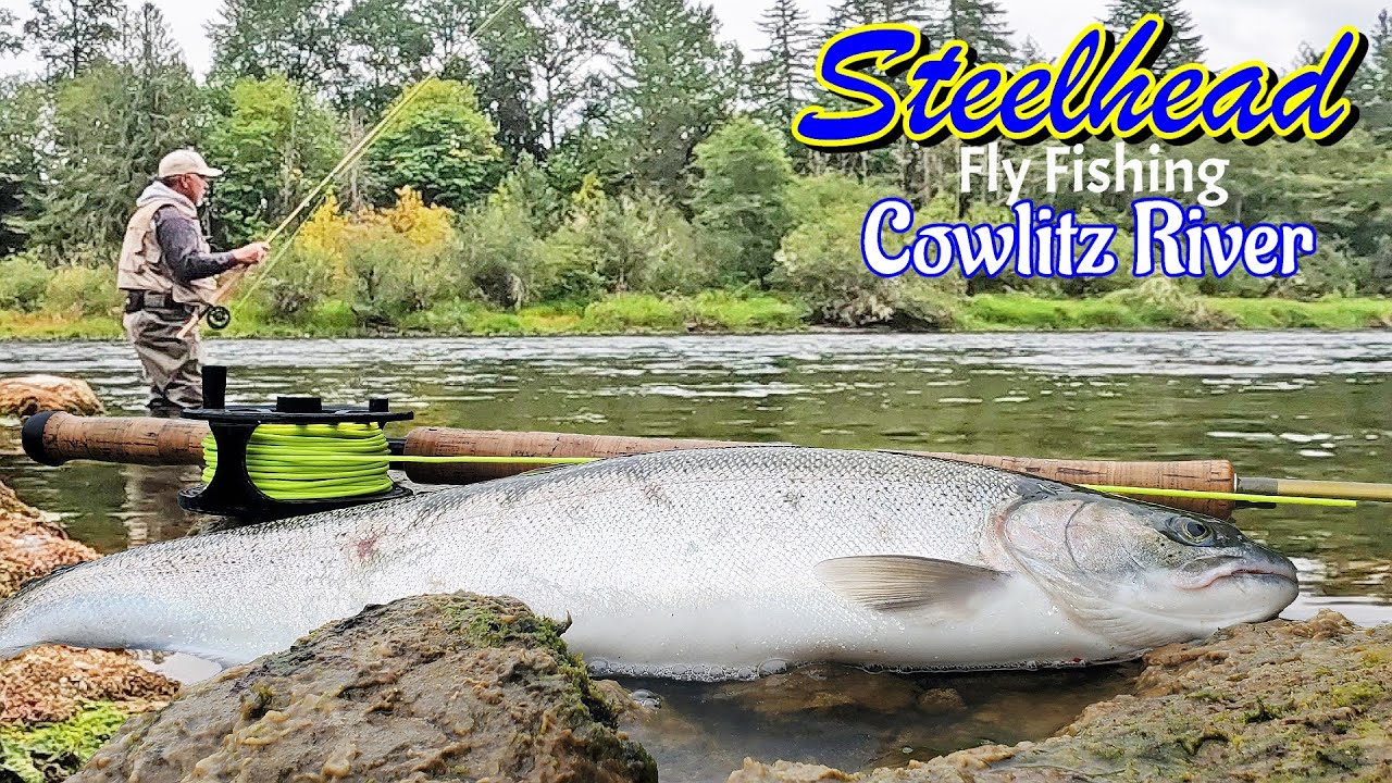 Epic Steelhead Battle With 14ft Rod | Cowlitz River Steelhead Fishing