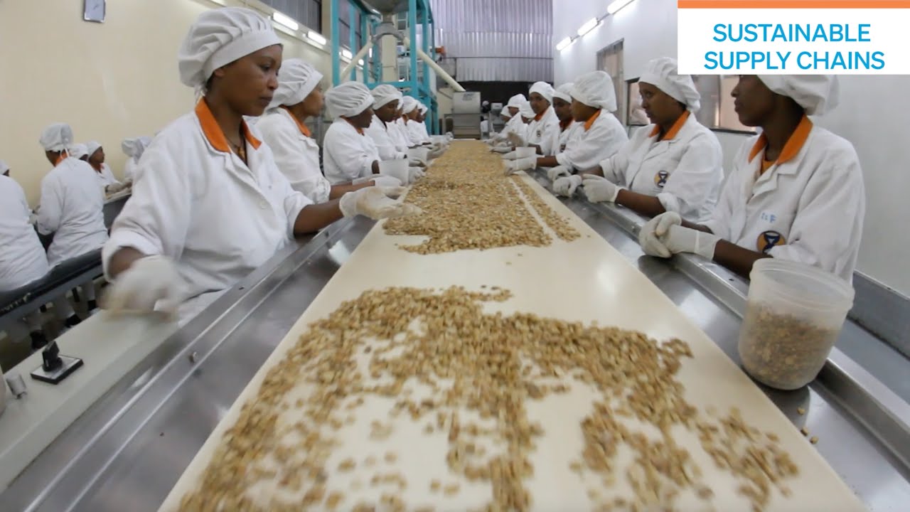 Sustainable supply chains