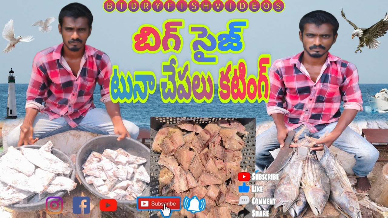 Tuna fish cutting #BT dryfish video #best dryfish #dryfish cutting #viral dryfish cutting #dryfishes
