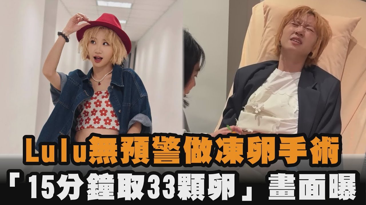 Lulu無預警做凍卵手術　「15分鐘取33顆卵」畫面曝