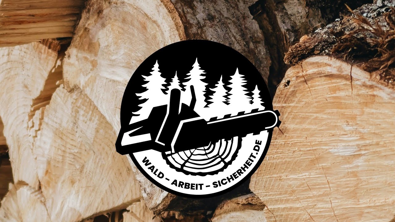 Baum fällen, gerade Fichte, Teil 6 Fällschnitt Sicherheitsfalltechnik 🪚🌲