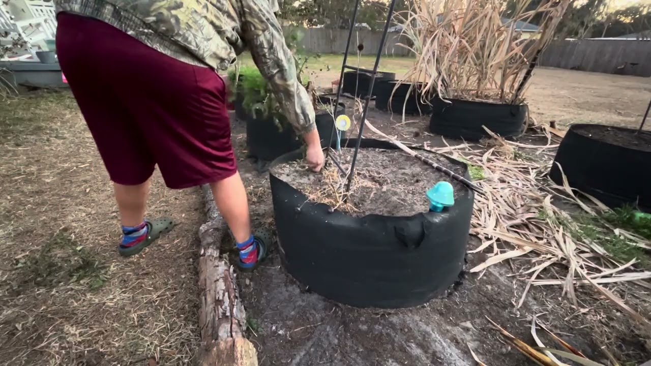 Removing Weed Fabric And Bed Prep