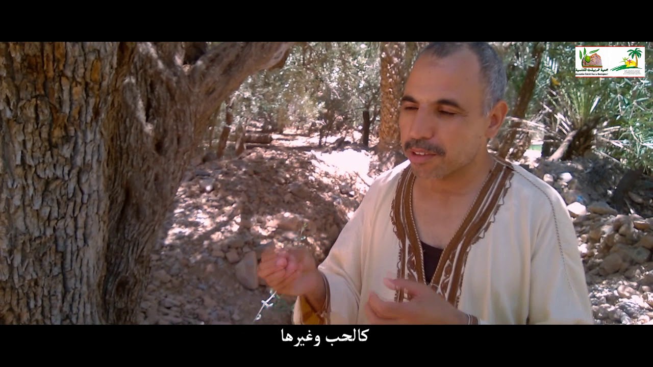 وثائقي عن حامة لالة ملوكة تيمولاي جماعة أداي إقليم كلميم (جمعية تحربيلت للتنمية)