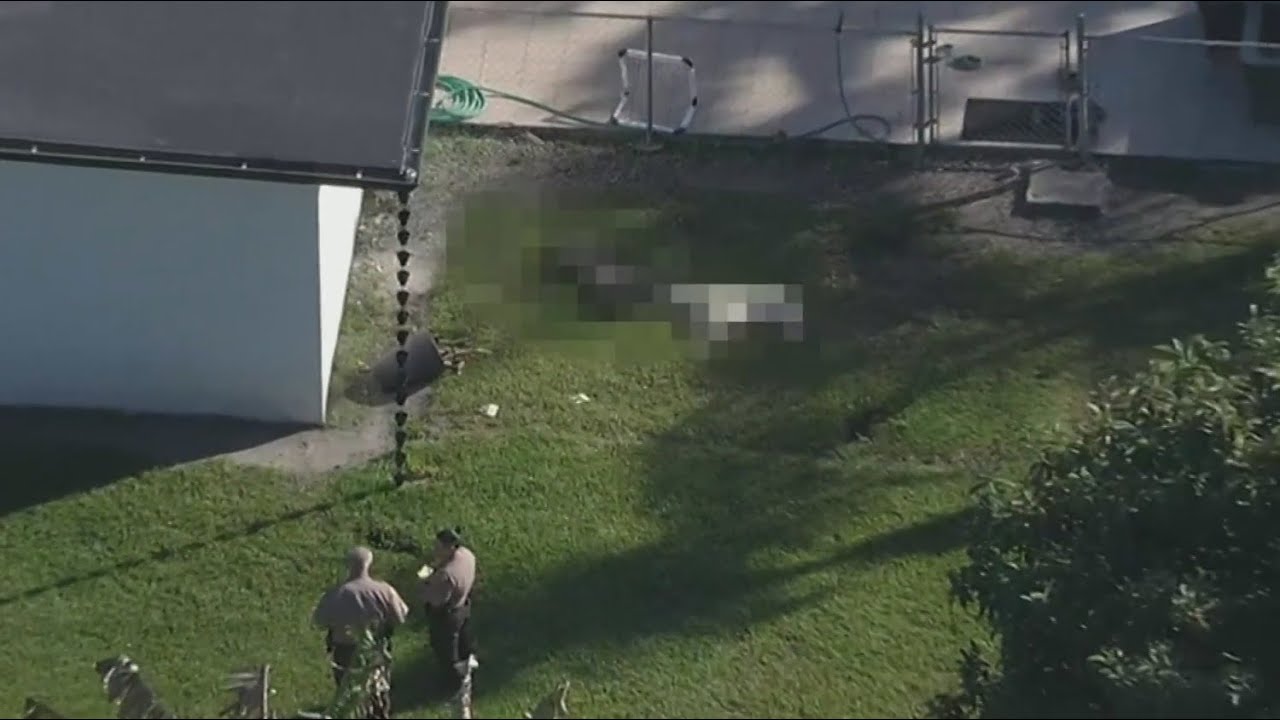 Miami-Dade deputies forced to shoot, kills dogs viciously attacking man