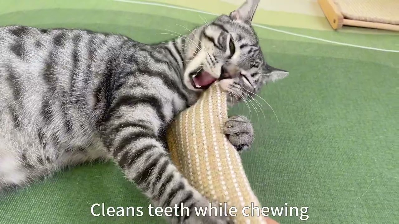 Potaroma Sisal Catnip Pillow Toy 