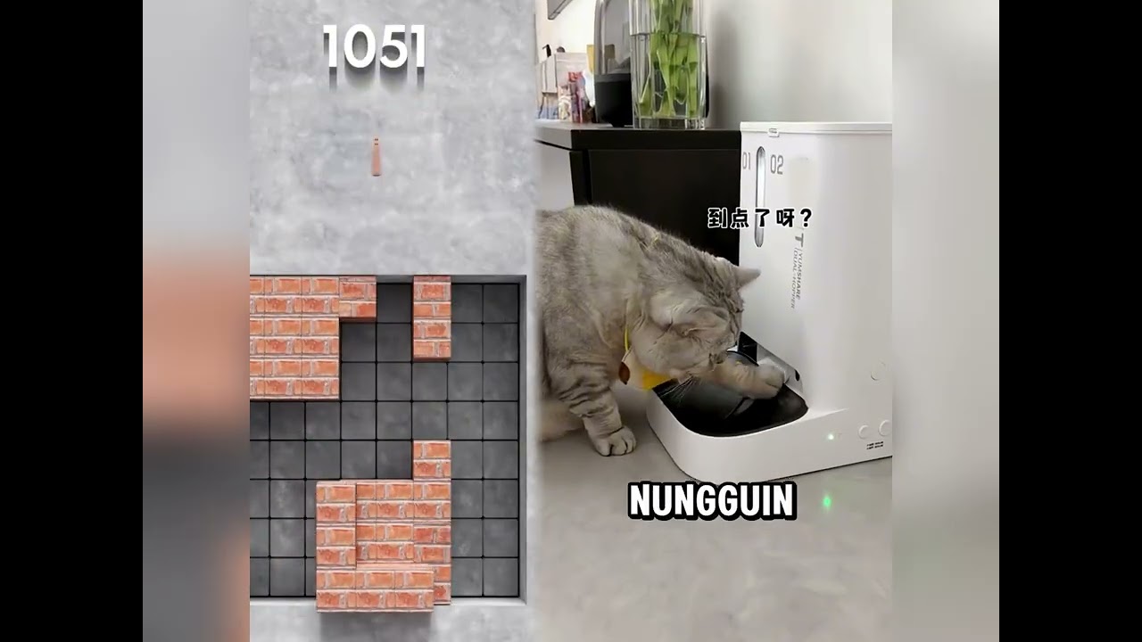 🤣👌👌👌2026 pov Must-Watch Crazy Clips Compilation #humor #fypシ #pov #fyp #foryou 😍😜