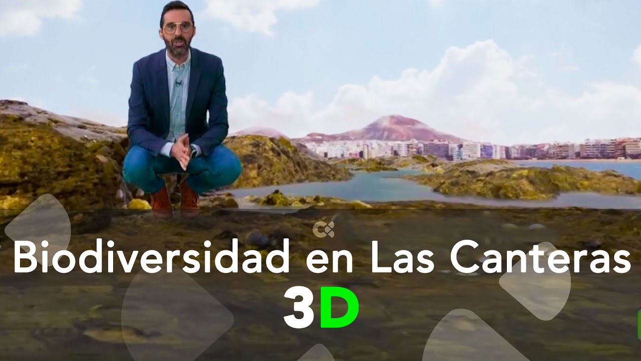 Biodiversidad en la barra de Las Canteras | 3D
