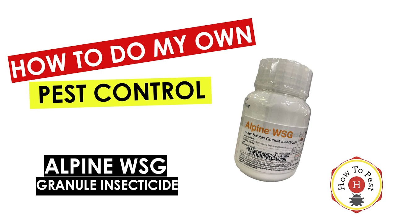 DIY Pest Control – Alpine WSG Insecticide Tutorial for Long-Lasting Pest Protection