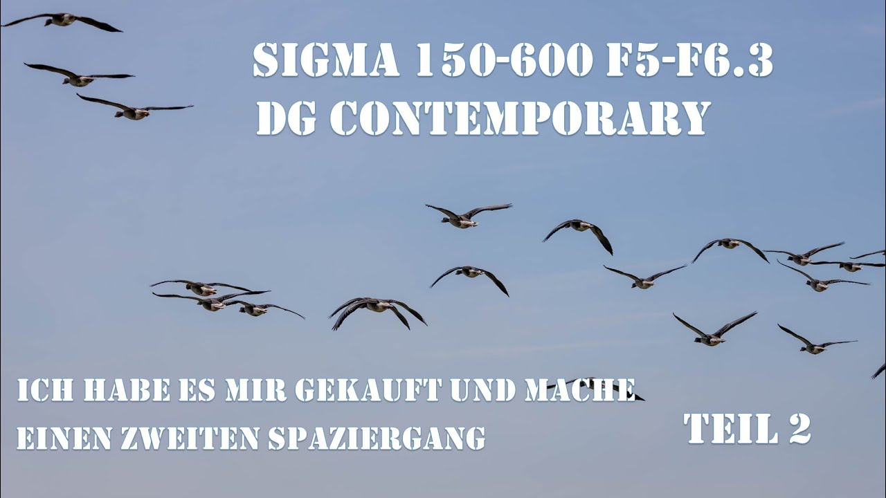 Sigma 150 600 F5-F6.3 DG Contemporary. Ein zweiter Spaziergang