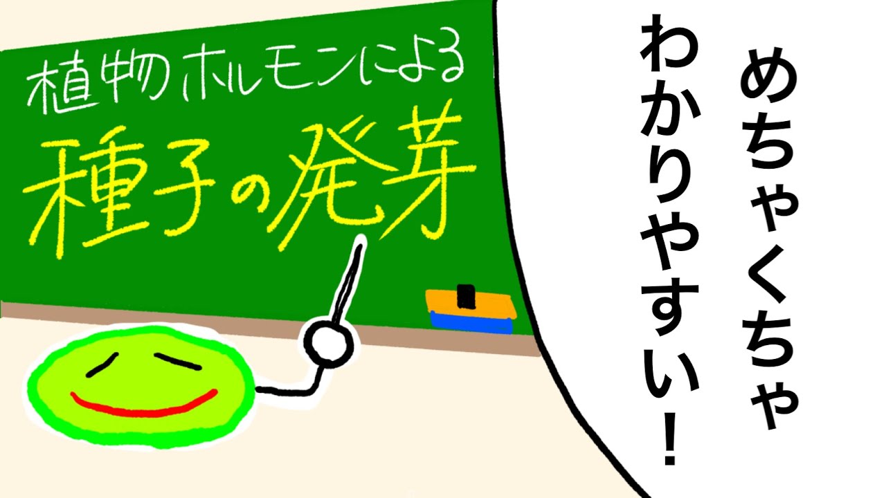 【漫画】植物ホルモンによる種子の発芽をわかりやすく解説！