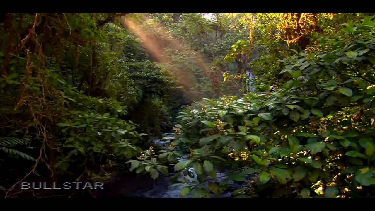 Asher Quinn ( Asha ) -  Sonatina  [HD-BS]