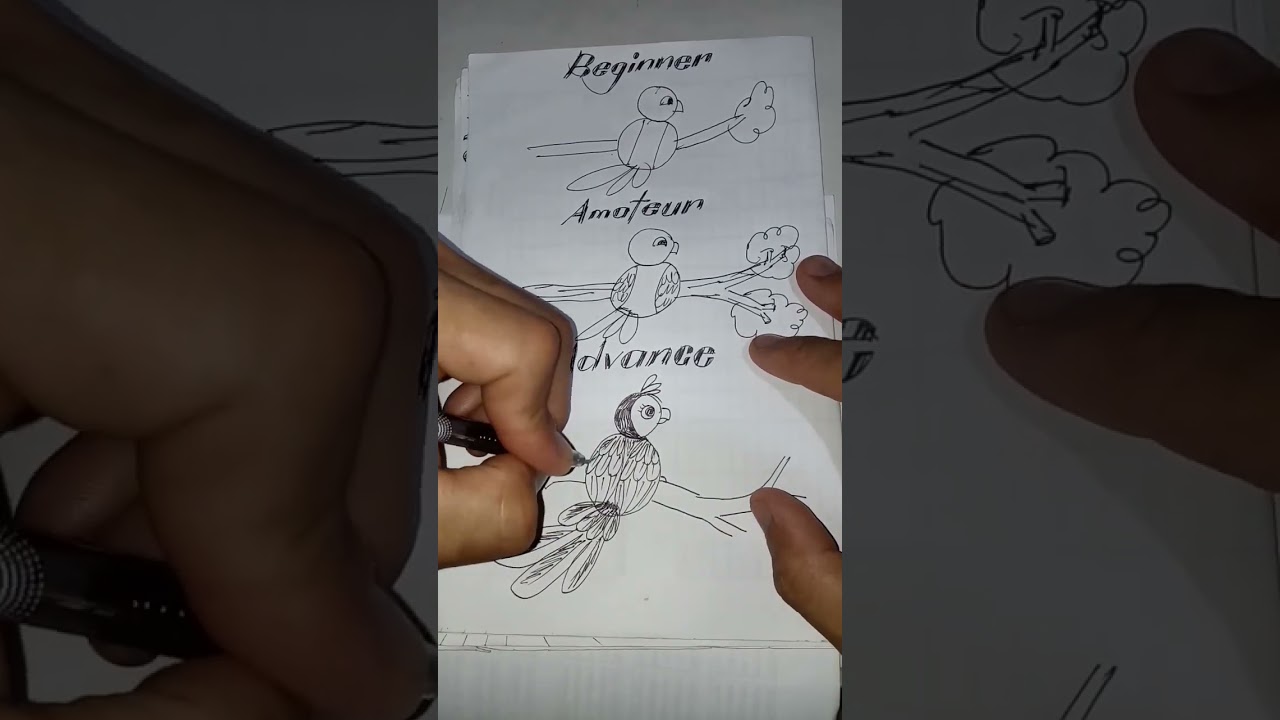 How to draw a bird using number 8 as pattern.Drawing a bird using ballpointpen. 