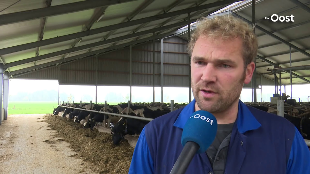 Boer Frans uit De Lutte moet helft van zijn koeien wegdoen en overweegt 'wraak'