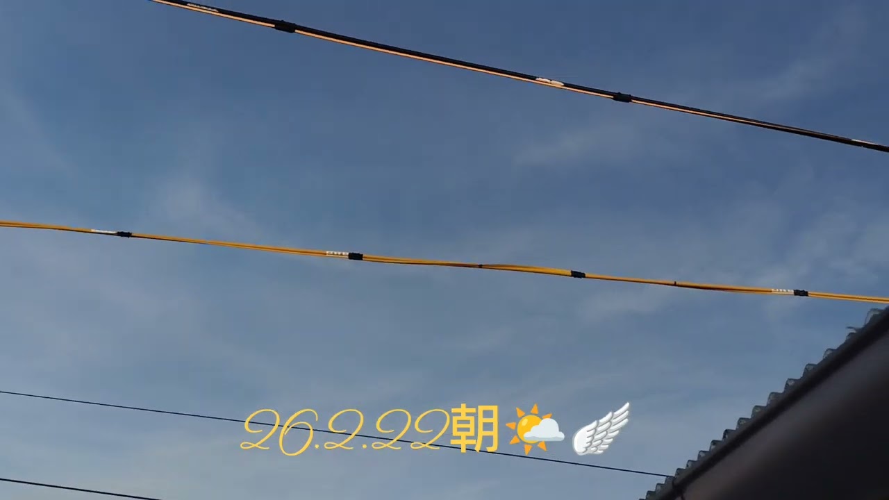 直行で遠征してしまってしばらくは戻って来なかった🌊⛰️🏬