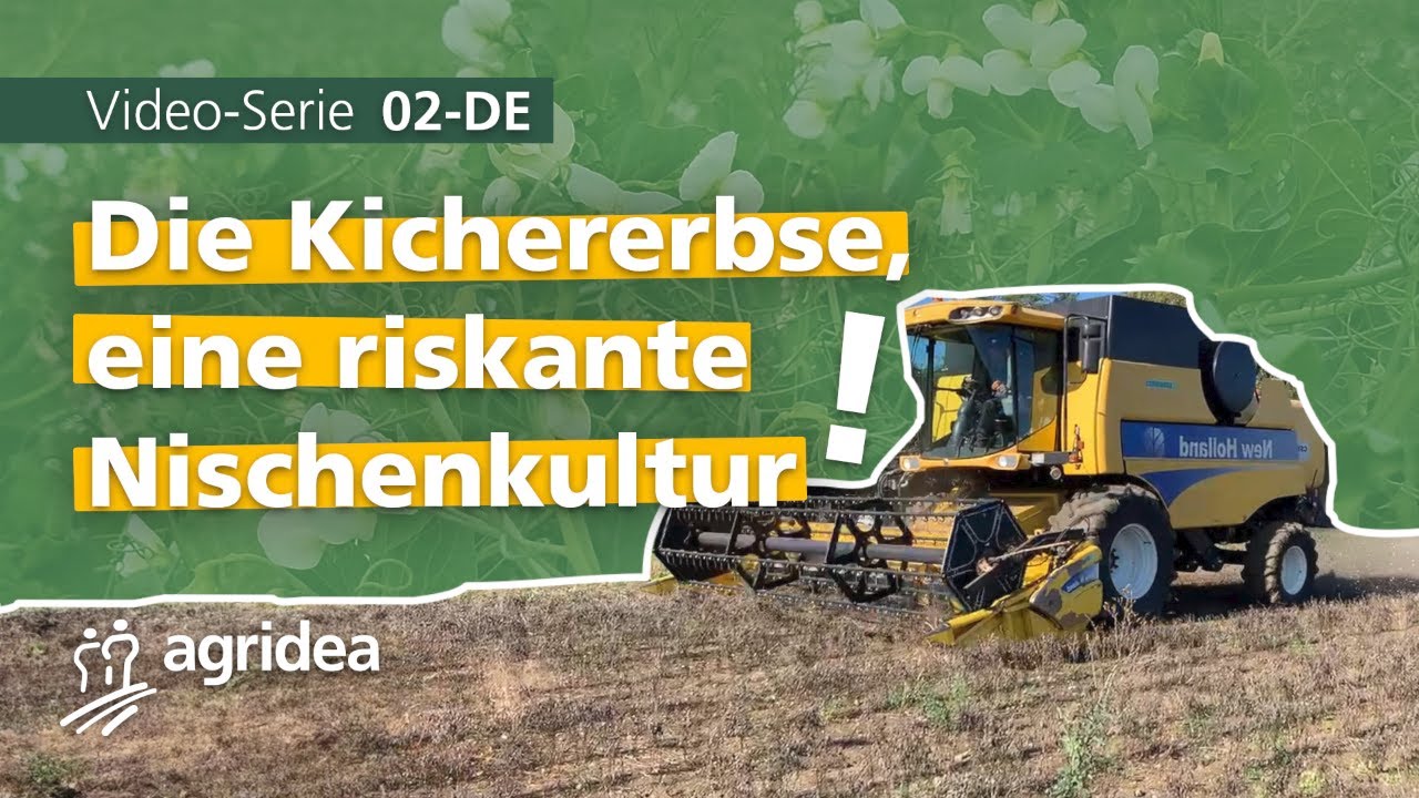 02 Wie gelingt der Anbau von Kichererbsen ? Die wichtigsten Aspekte