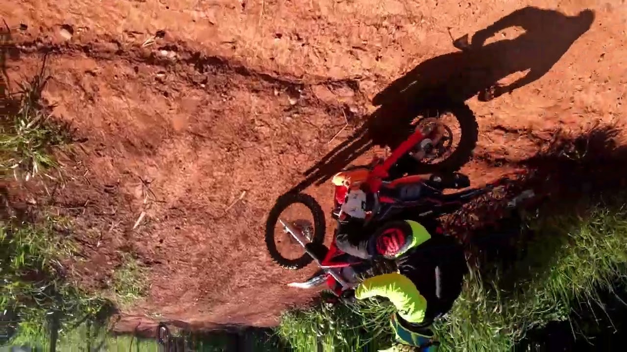 Elias e Felipe 14 02 2026