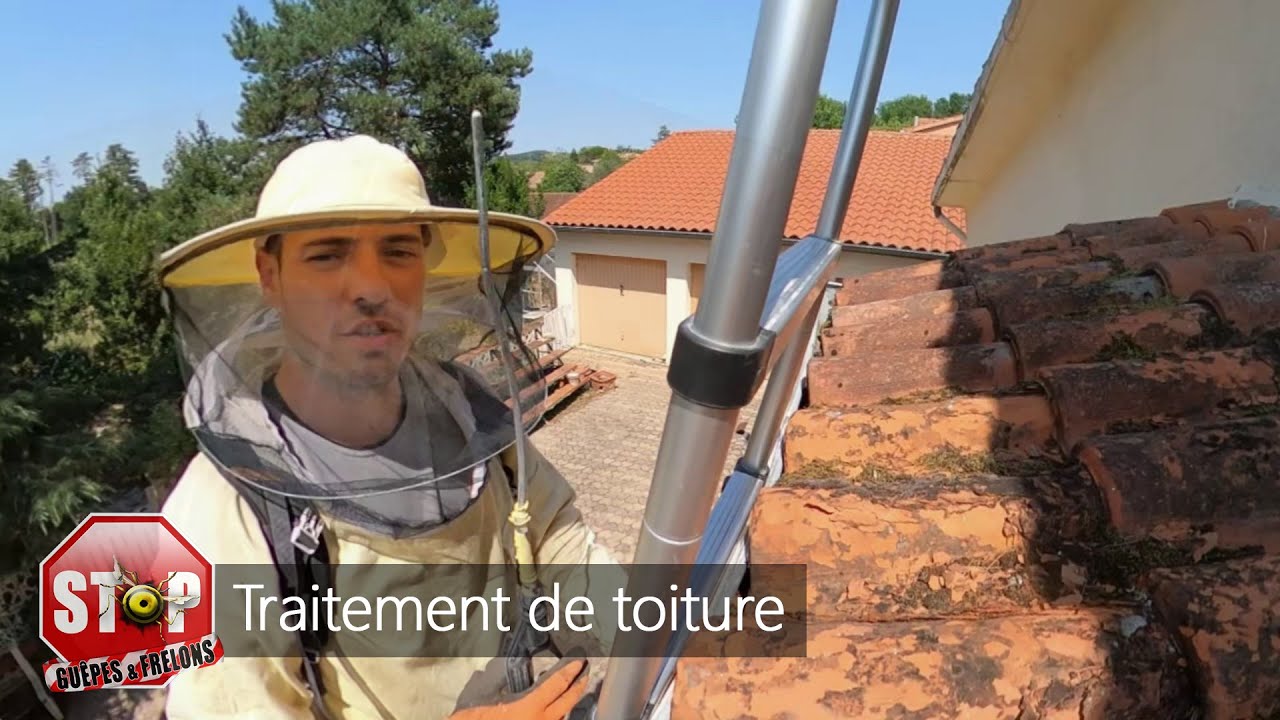 Traitement de toiture contre les guêpes