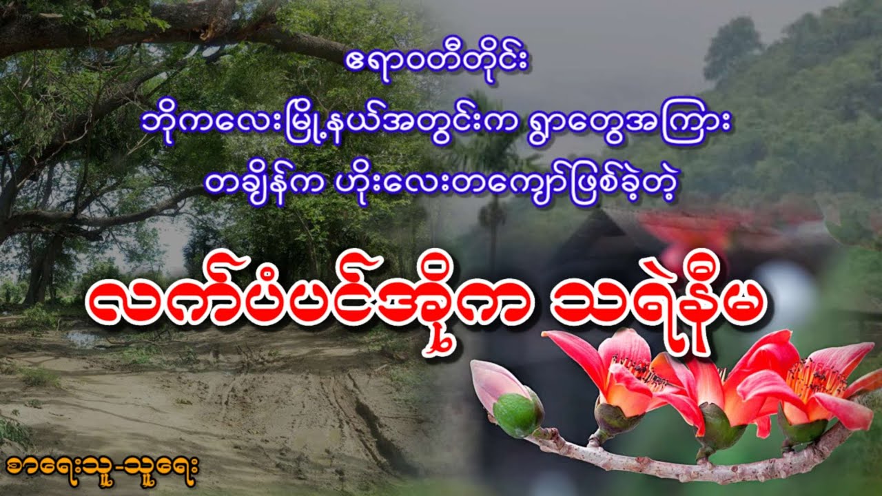 ဧရာဝတီတိုင်း ဘိုကလေးမြို့နယ်အတွင်းက ရွာတွေအကြား တချိန်က ဟိုးလေးတကျော်ဖြစ်ခဲ့တဲ့ လက်ပံပင်အိုက သရဲနီမ