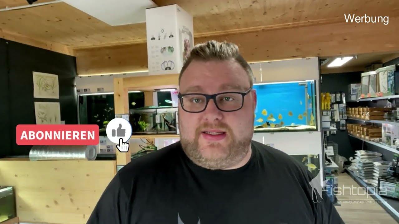 Fishtopia Weekly - Erdfresser