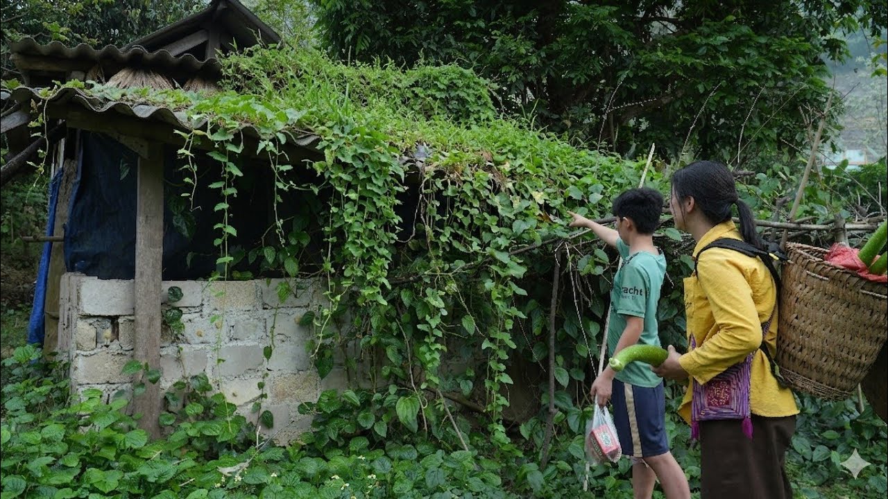 Мать-одиночка помогает осиротевшему мальчику вернуться в брошенный дом после многих дней разлуки.