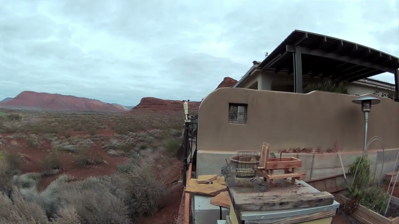 More birb Mady 06-Jan-2026