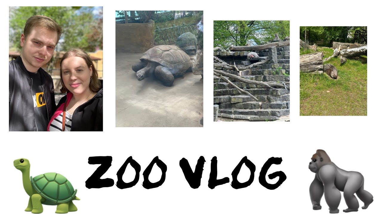 Wir waren im Zoo 🫏 // ZOO VLOG 🦍 // alinaBerry