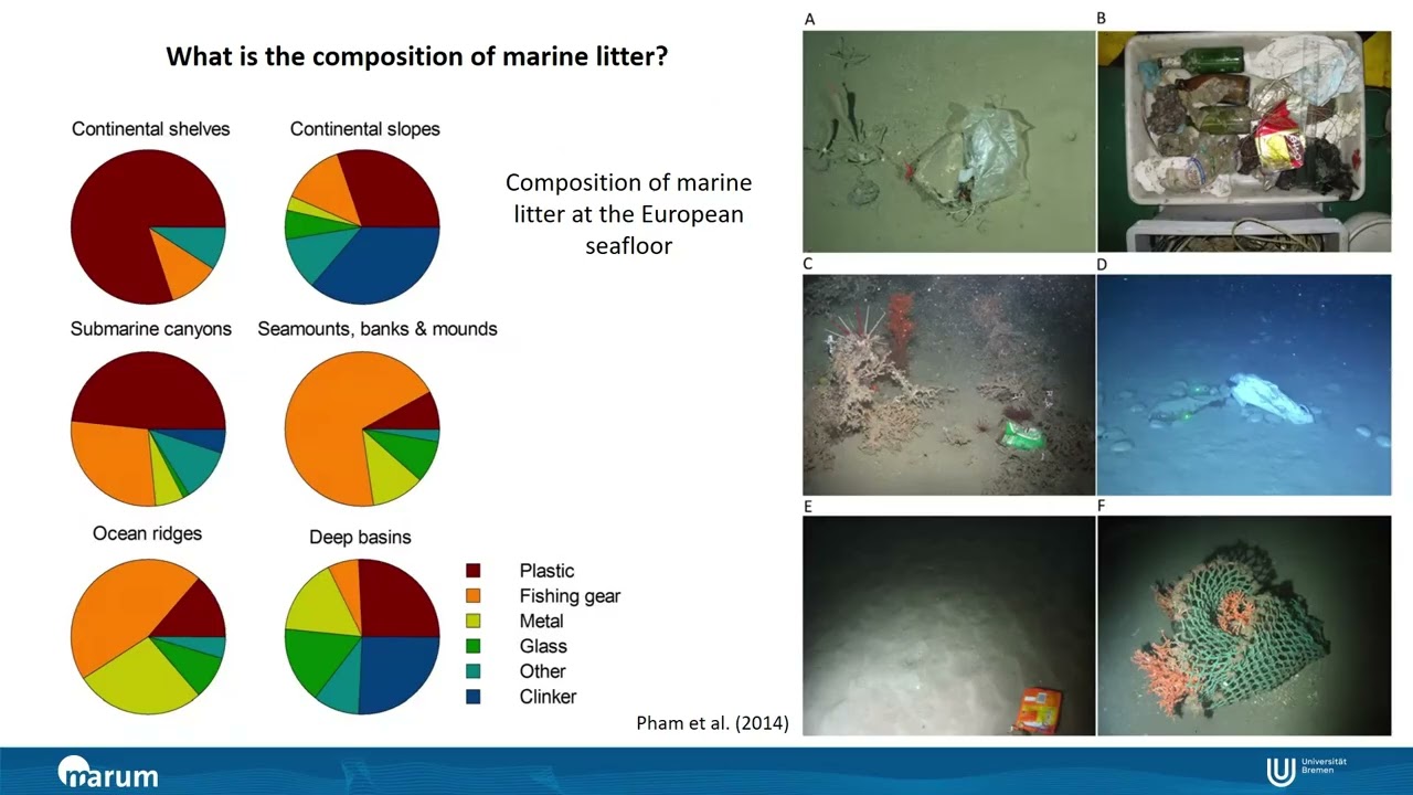 Plastic pollution from the coast to the deep sea